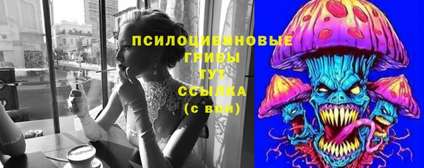 2c-b Саяногорск