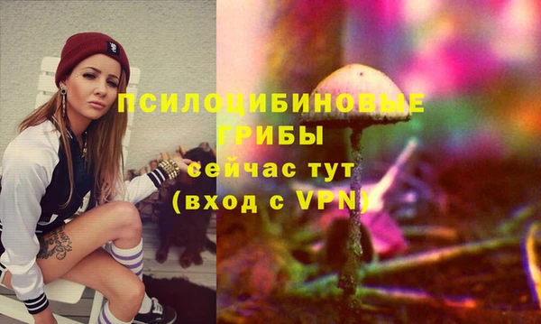 гидропоника Сафоново