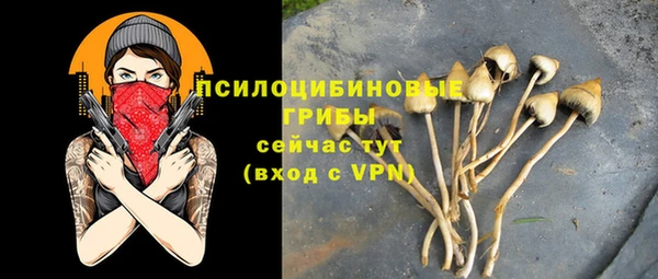 2c-b Саяногорск